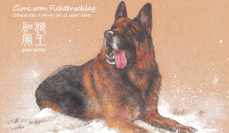 狼王加冕的个人主页（封面预览） - 主页封面设置 - 站酷设计师狼王加冕原创素材 - 站酷ZCOOL