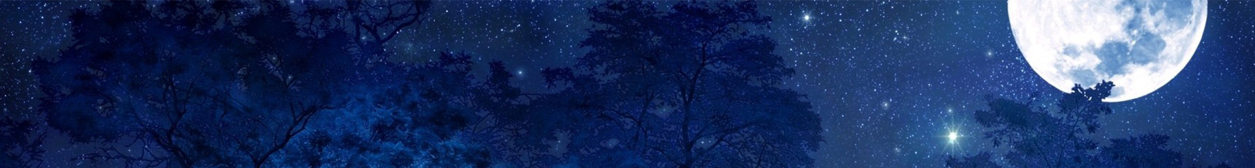 糖唐糖的個(gè)人主頁(yè)（封面預(yù)覽） - 主頁(yè)封面設(shè)置 - 站酷設(shè)計(jì)師糖唐糖原創(chuàng)素材 - 站酷ZCOOL