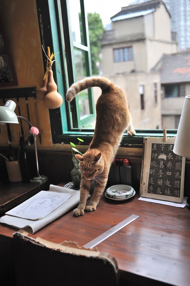 大红果果啊的个人主页（封面预览） - 主页封面设置 - 站酷设计师大红果果啊原创素材 - 站酷ZCOOL