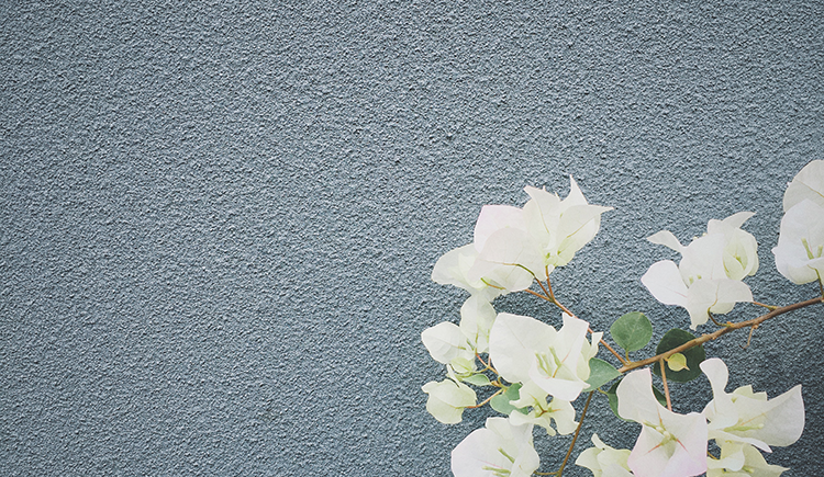 _ZZZAI的个人主页（封面预览） - 主页封面设置 - 站酷设计师_ZZZAI原创素材 - 站酷ZCOOL