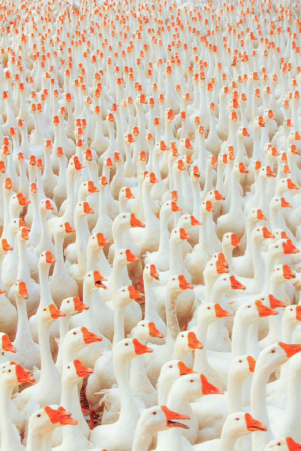 mrtinkls的個(gè)人主頁(yè)（封面預(yù)覽） - 主頁(yè)封面設(shè)置 - 站酷設(shè)計(jì)師mrtinkls原創(chuàng)素材 - 站酷ZCOOL