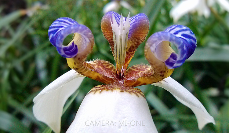 鄭華生的個(gè)人主頁(yè)（封面預(yù)覽） - 主頁(yè)封面設(shè)置 - 站酷設(shè)計(jì)師鄭華生原創(chuàng)素材 - 站酷ZCOOL