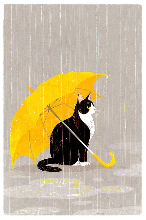 nymphaea莲的个人主页（封面预览） - 主页封面设置 - 站酷设计师nymphaea莲原创素材 - 站酷ZCOOL