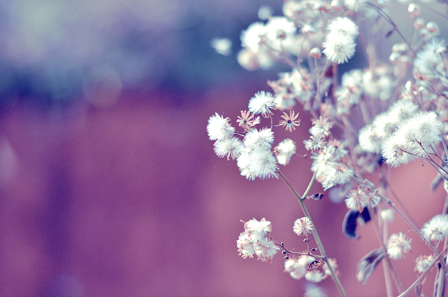 薇薇湘兒的個(gè)人主頁(yè)（封面預(yù)覽） - 主頁(yè)封面設(shè)置 - 站酷設(shè)計(jì)師薇薇湘兒原創(chuàng)素材 - 站酷ZCOOL