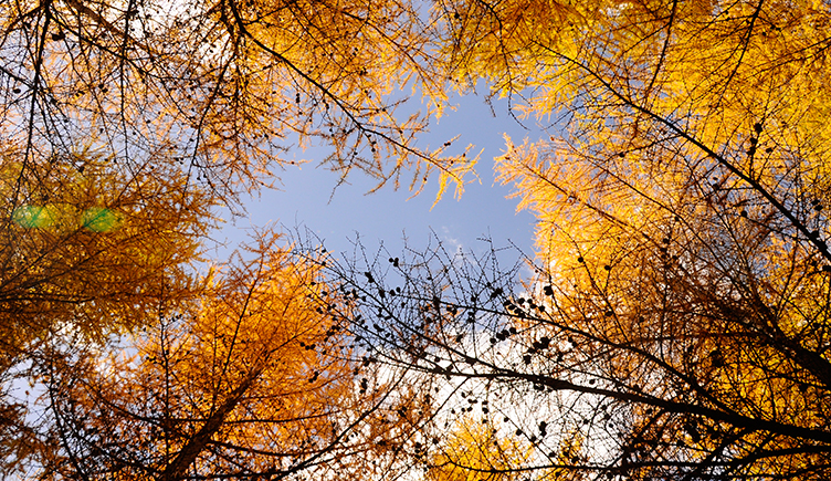 618先生的個(gè)人主頁(yè)（封面預(yù)覽） - 主頁(yè)封面設(shè)置 - 站酷設(shè)計(jì)師618先生原創(chuàng)素材 - 站酷ZCOOL