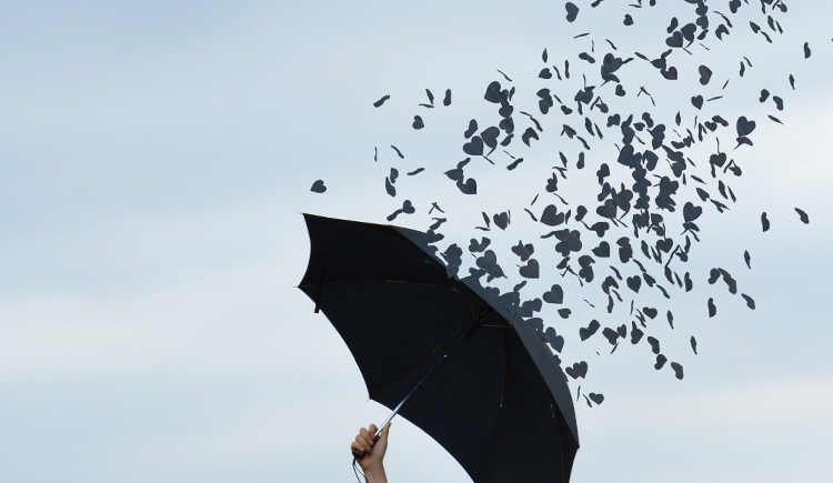 sunshine_nt的个人主页（封面预览） - 主页封面设置 - 站酷设计师sunshine_nt原创素材 - 站酷ZCOOL