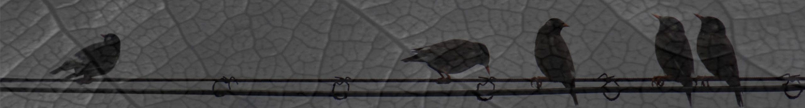 happyking王歡的個人主頁（封面預(yù)覽） - 主頁封面設(shè)置 - 站酷設(shè)計師happyking王歡原創(chuàng)素材 - 站酷ZCOOL