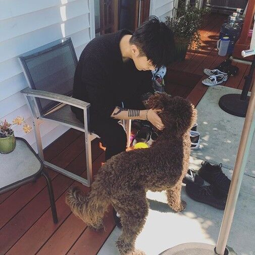 周周zdo的个人主页（封面预览） - 主页封面设置 - 站酷设计师周周zdo原创素材 - 站酷ZCOOL