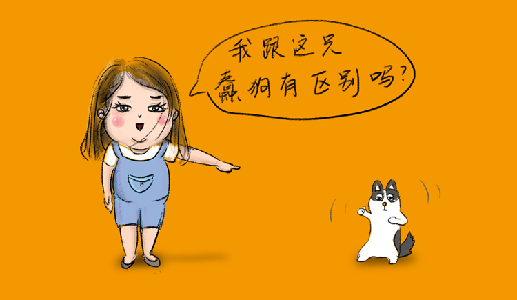 六碗酸酸乳的个人主页（封面预览） - 主页封面设置 - 站酷设计师六碗酸酸乳原创素材 - 站酷ZCOOL