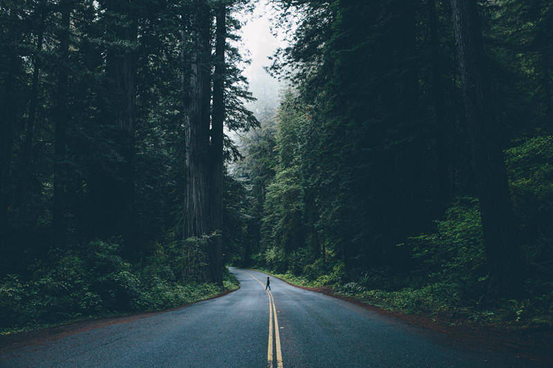 肉真多的個人主頁（封面預(yù)覽） - 主頁封面設(shè)置 - 站酷設(shè)計師肉真多原創(chuàng)素材 - 站酷ZCOOL