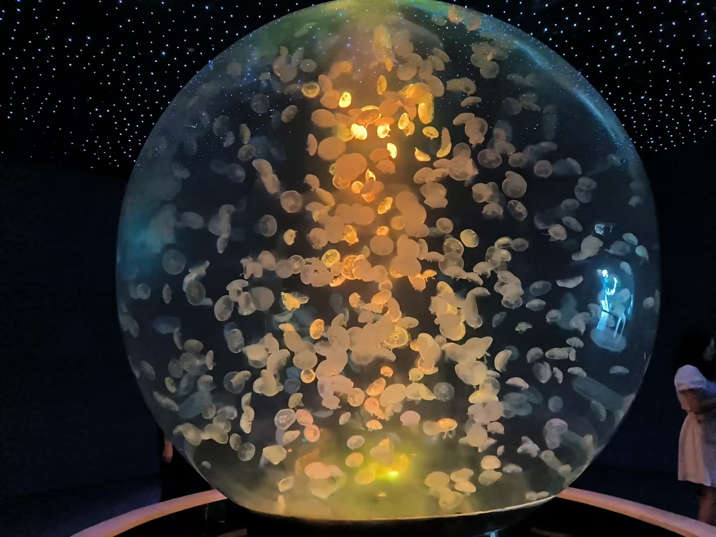 QinQ星垂野的个人主页（封面预览） - 主页封面设置 - 站酷设计师QinQ星垂野原创素材 - 站酷ZCOOL