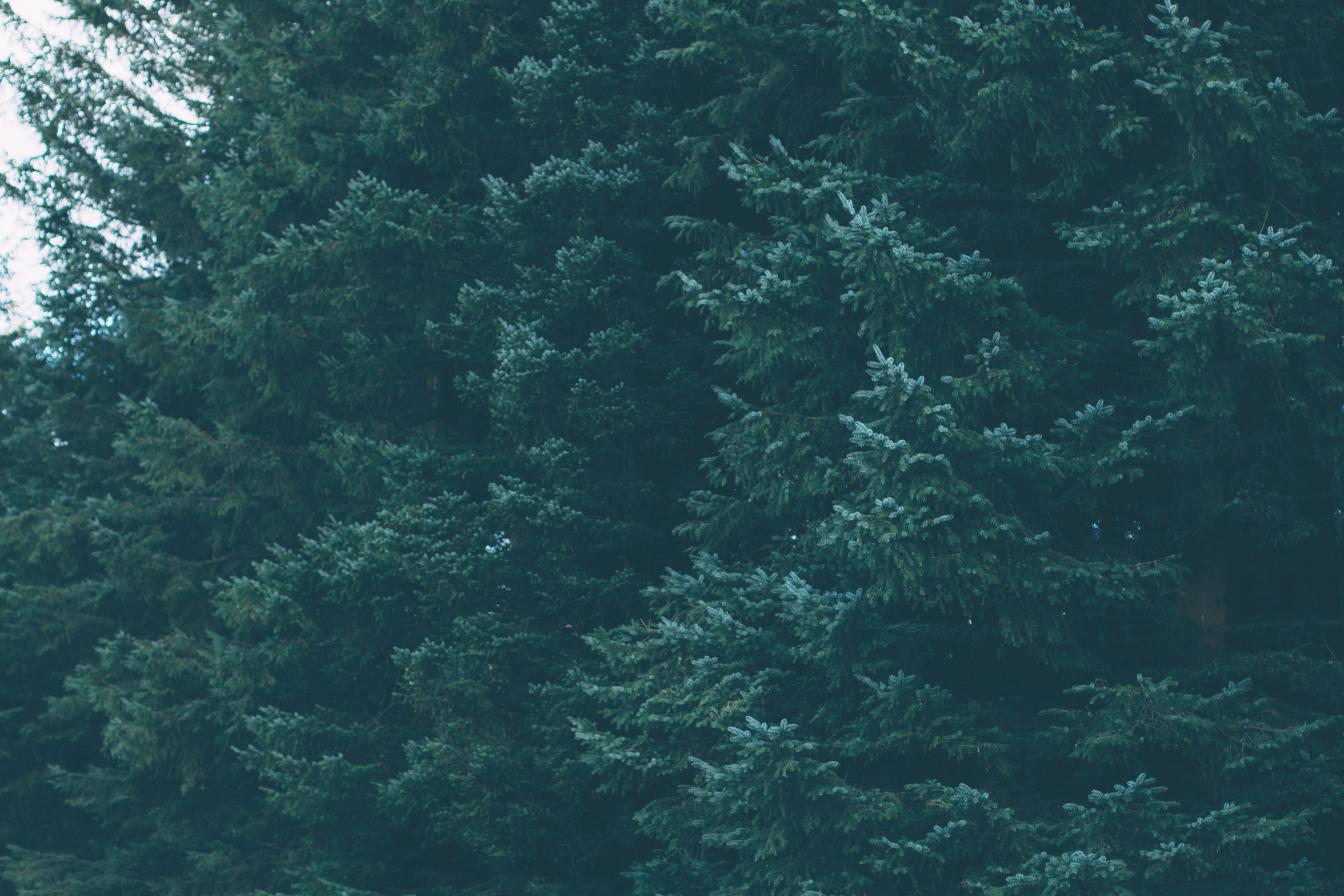 銘土的個人主頁（封面預(yù)覽） - 主頁封面設(shè)置 - 站酷設(shè)計師銘土原創(chuàng)素材 - 站酷ZCOOL