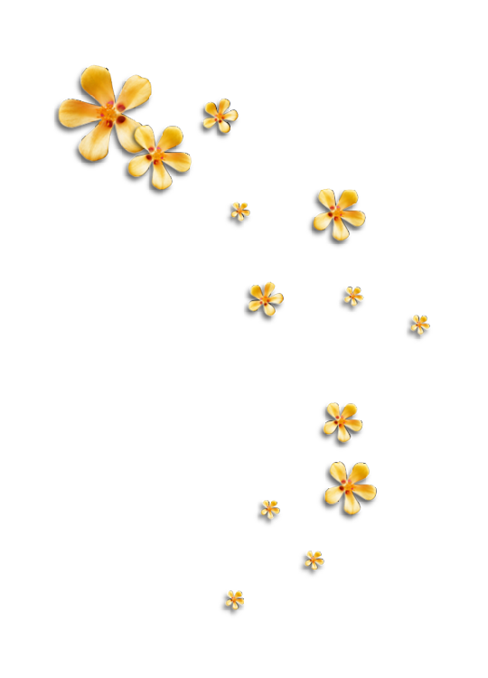 WONG君的个人主页（封面预览） - 主页封面设置 - 站酷设计师WONG君原创素材 - 站酷ZCOOL