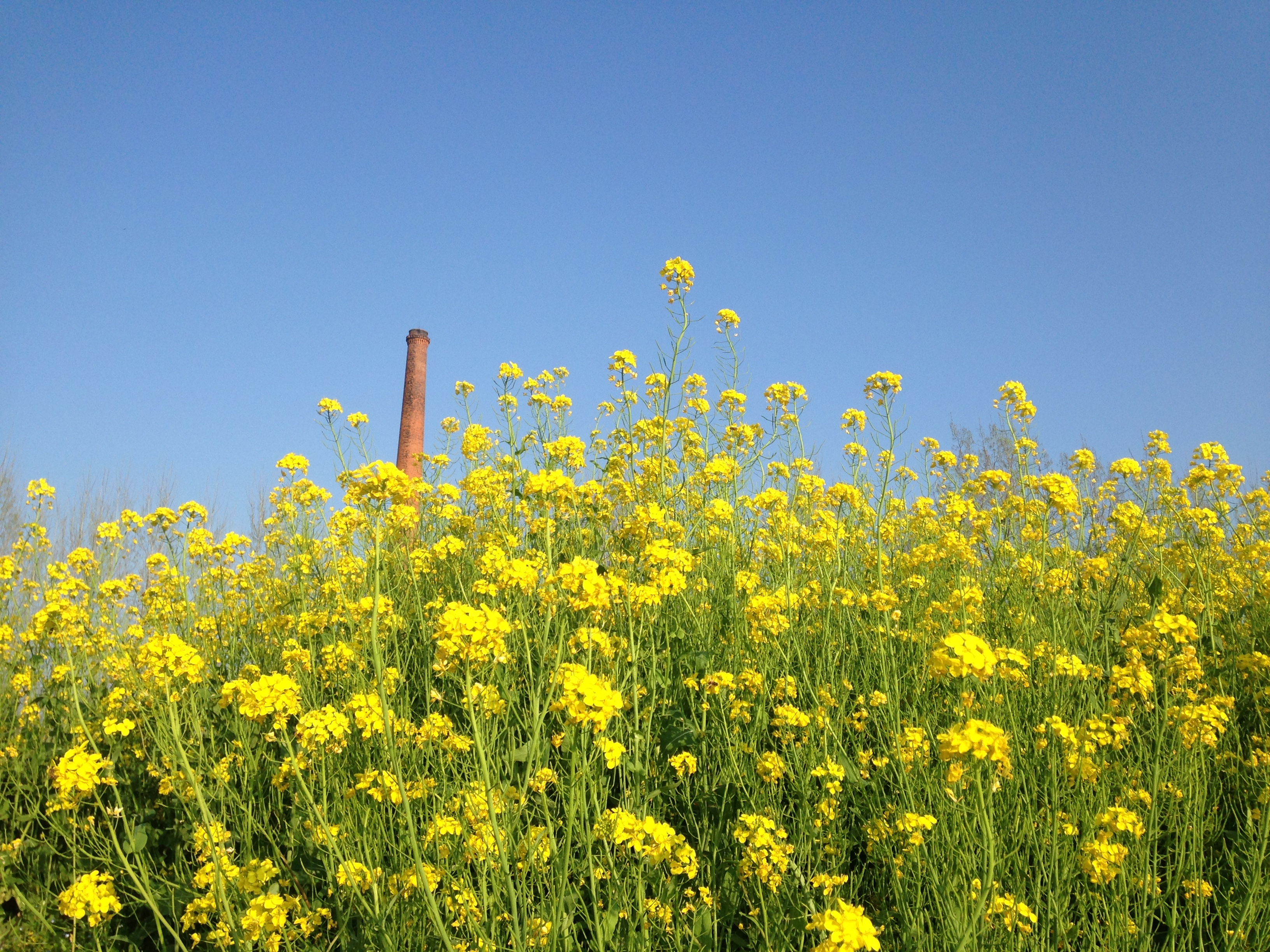 薄荷味的笑的個(gè)人主頁（封面預(yù)覽） - 主頁封面設(shè)置 - 站酷設(shè)計(jì)師薄荷味的笑原創(chuàng)素材 - 站酷ZCOOL