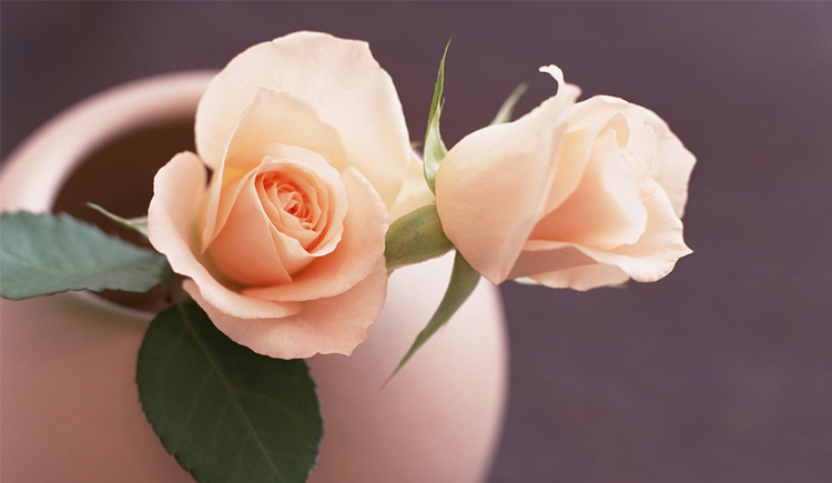 NEVER417的个人主页（封面预览） - 主页封面设置 - 站酷设计师NEVER417原创素材 - 站酷ZCOOL