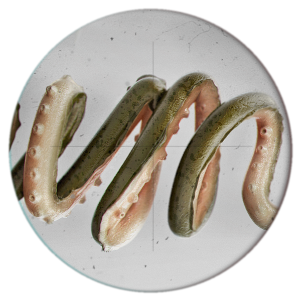 油炸吹风机的个人主页（封面预览） - 主页封面设置 - 站酷设计师油炸吹风机原创素材 - 站酷ZCOOL