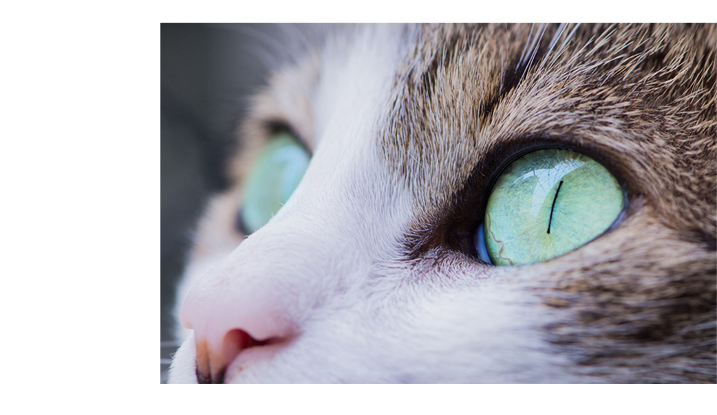 INONAMEI的个人主页（封面预览） - 主页封面设置 - 站酷设计师INONAMEI原创素材 - 站酷ZCOOL