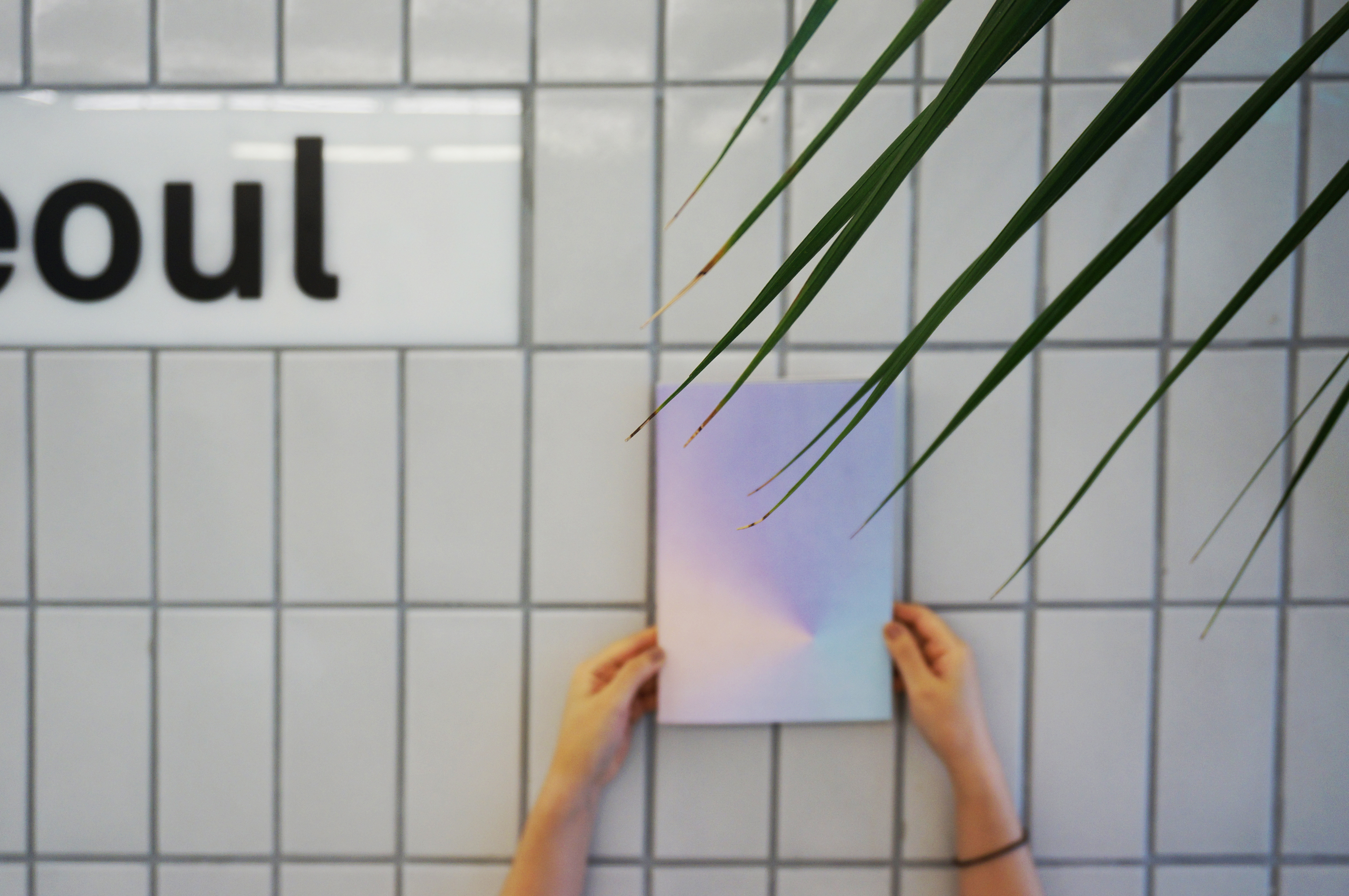 阿翘的个人主页（封面预览） - 主页封面设置 - 站酷设计师阿翘原创素材 - 站酷ZCOOL