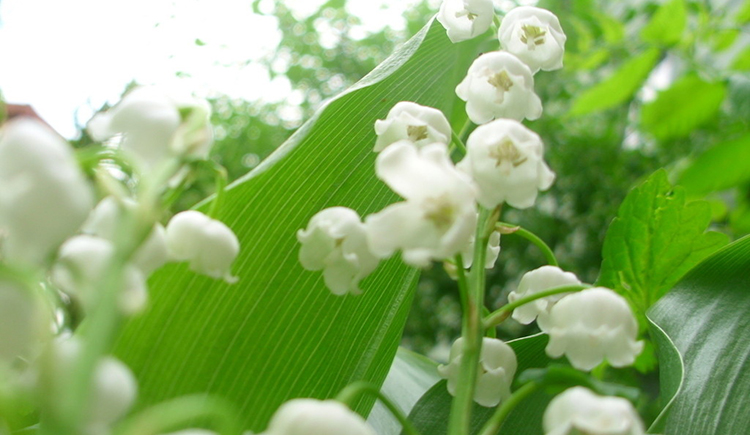 Mille_的個人主頁（封面預(yù)覽） - 主頁封面設(shè)置 - 站酷設(shè)計師Mille_原創(chuàng)素材 - 站酷ZCOOL