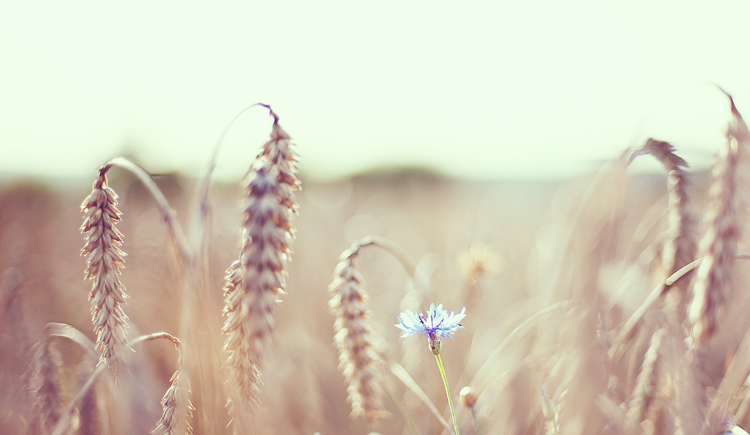 _luby_的个人主页（封面预览） - 主页封面设置 - 站酷设计师_luby_原创素材 - 站酷ZCOOL