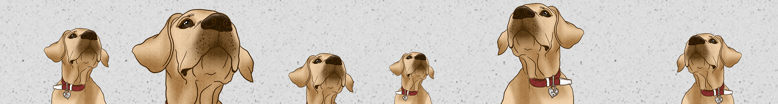 DuanKya段子的个人主页（封面预览） - 主页封面设置 - 站酷设计师DuanKya段子原创素材 - 站酷ZCOOL