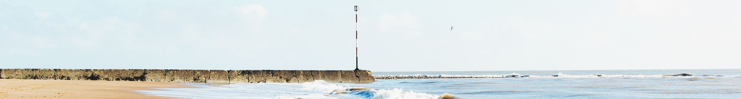 木少moon的個(gè)人主頁(yè)（封面預(yù)覽） - 主頁(yè)封面設(shè)置 - 站酷設(shè)計(jì)師木少moon原創(chuàng)素材 - 站酷ZCOOL