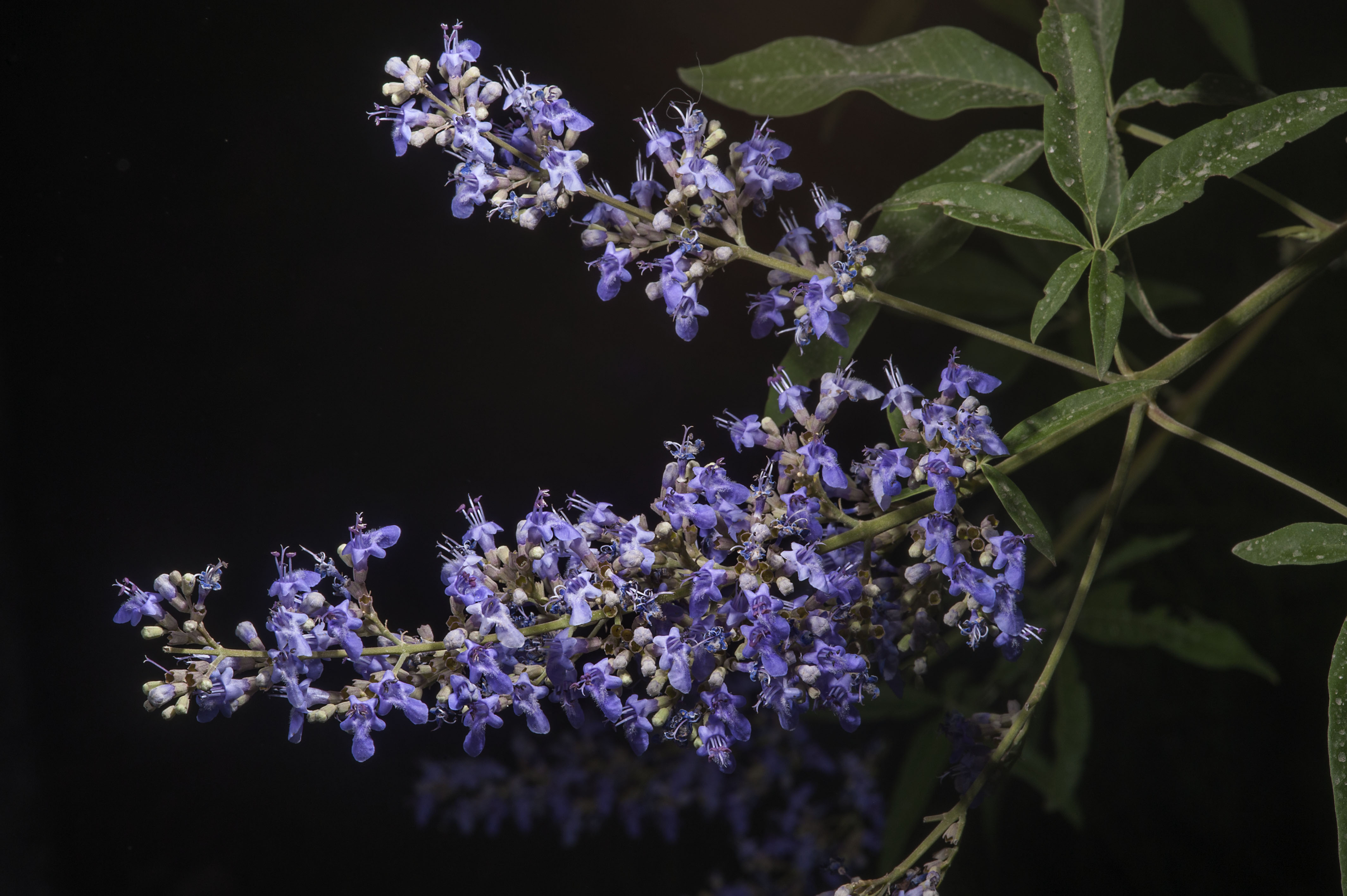 jiamenho的个人主页（封面预览） - 主页封面设置 - 站酷设计师jiamenho原创素材 - 站酷ZCOOL