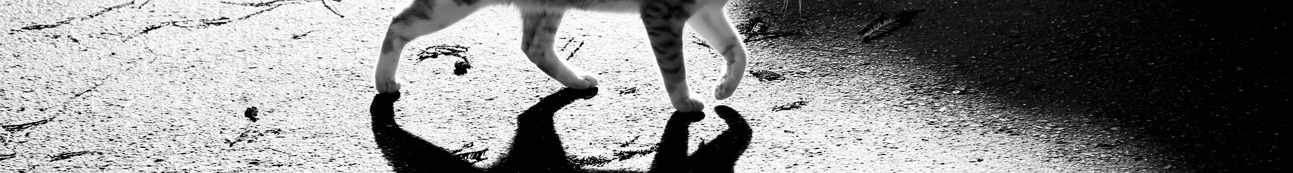 artsunjia的个人主页（封面预览） - 主页封面设置 - 站酷设计师artsunjia原创素材 - 站酷ZCOOL