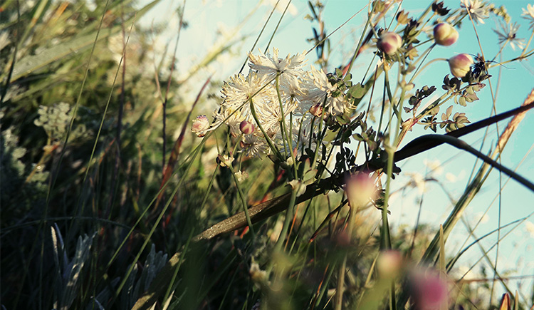 小魚醬的個(gè)人主頁（封面預(yù)覽） - 主頁封面設(shè)置 - 站酷設(shè)計(jì)師小魚醬原創(chuàng)素材 - 站酷ZCOOL