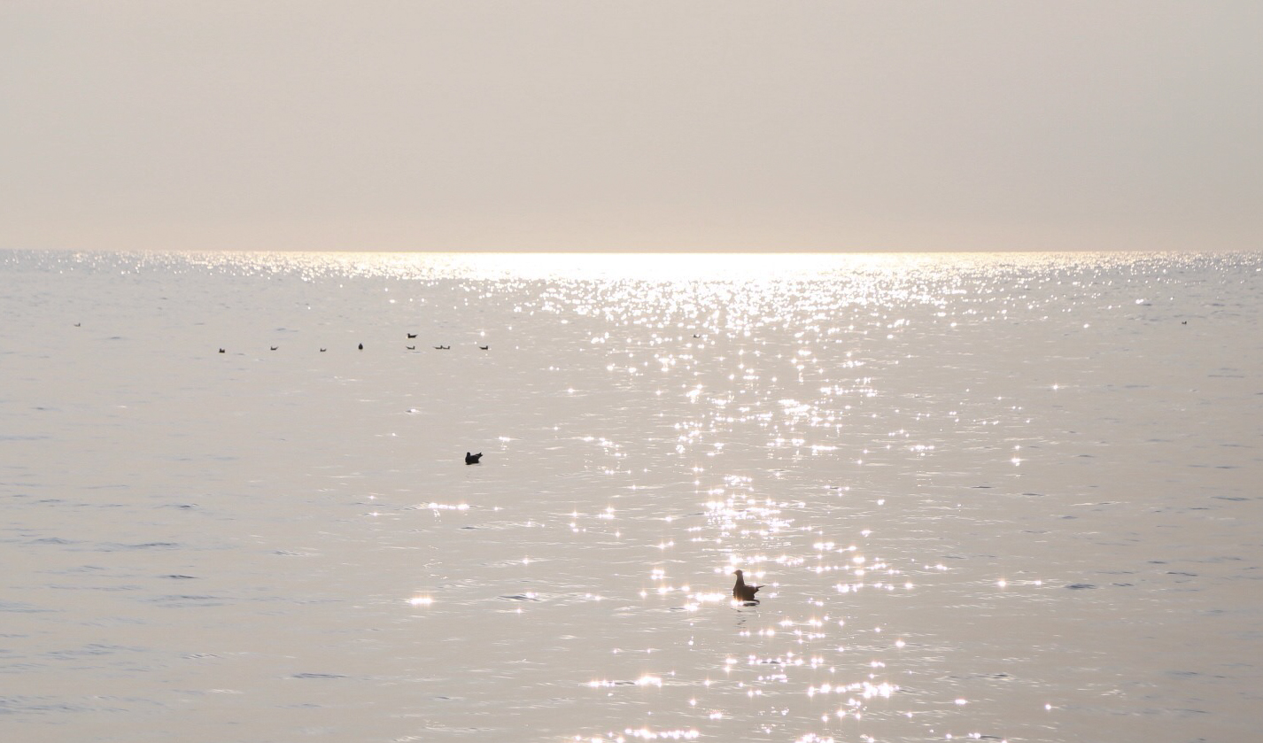 vv大妞的個(gè)人主頁（封面預(yù)覽） - 主頁封面設(shè)置 - 站酷設(shè)計(jì)師vv大妞原創(chuàng)素材 - 站酷ZCOOL