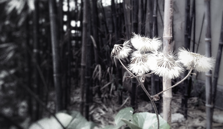 资优设计的个人主页（封面预览） - 主页封面设置 - 站酷设计师资优设计原创素材 - 站酷ZCOOL