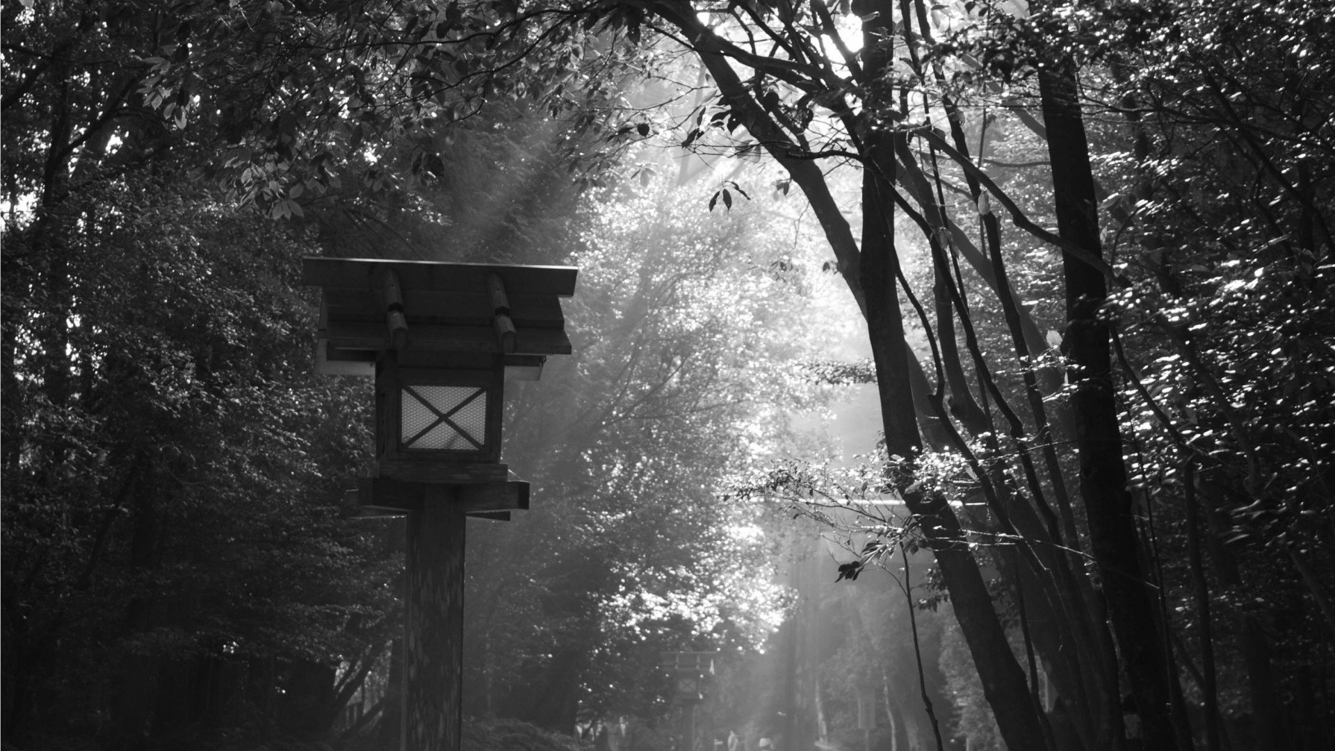 沒(méi)有靈魂的香蕉的個(gè)人主頁(yè)（封面預(yù)覽） - 主頁(yè)封面設(shè)置 - 站酷設(shè)計(jì)師沒(méi)有靈魂的香蕉原創(chuàng)素材 - 站酷ZCOOL