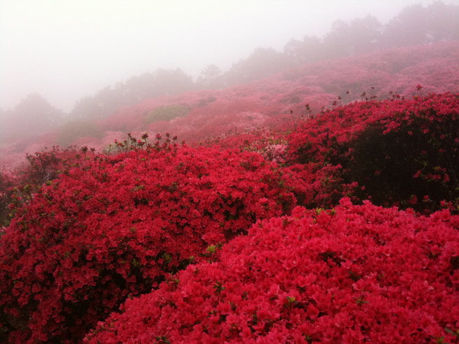六函的個(gè)人主頁（封面預(yù)覽） - 主頁封面設(shè)置 - 站酷設(shè)計(jì)師六函原創(chuàng)素材 - 站酷ZCOOL