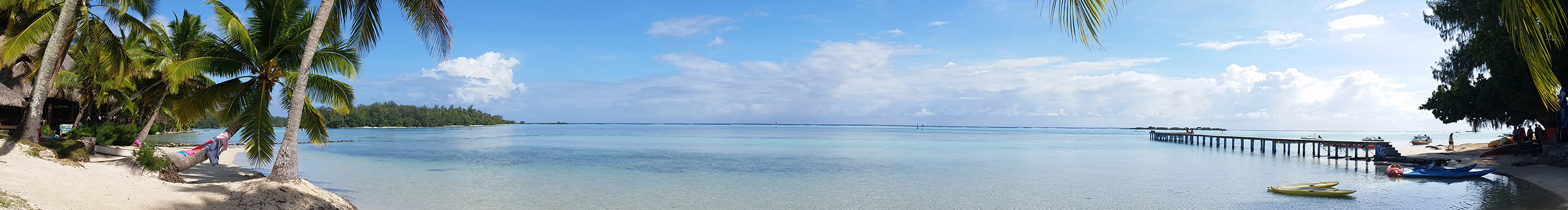 笙歌籬陌的個人主頁（封面預覽） - 主頁封面設(shè)置 - 站酷設(shè)計師笙歌籬陌原創(chuàng)素材 - 站酷ZCOOL