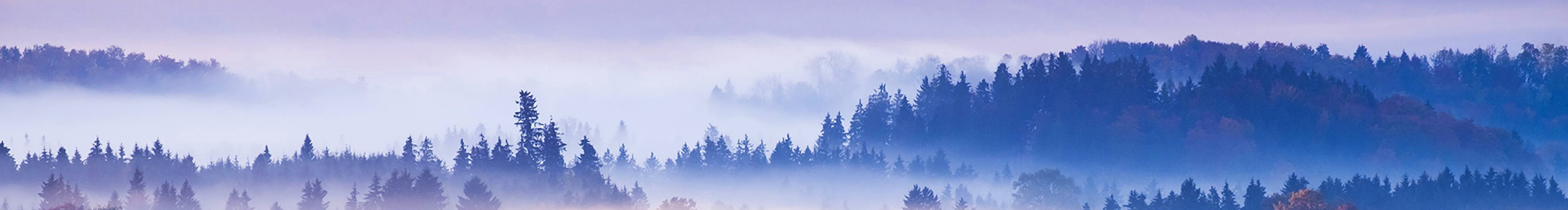 阿xing的個(gè)人主頁（封面預(yù)覽） - 主頁封面設(shè)置 - 站酷設(shè)計(jì)師阿xing原創(chuàng)素材 - 站酷ZCOOL