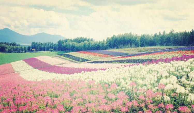 不爱说话x的个人主页（封面预览） - 主页封面设置 - 站酷设计师不爱说话x原创素材 - 站酷ZCOOL