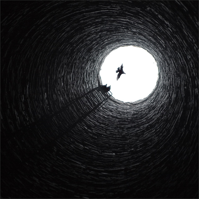 xhc529的个人主页（封面预览） - 主页封面设置 - 站酷设计师xhc529原创素材 - 站酷ZCOOL