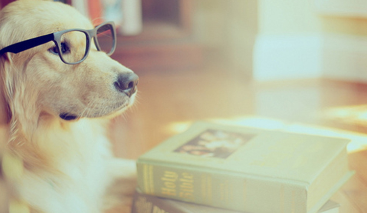 艾特特特特派的个人主页（封面预览） - 主页封面设置 - 站酷设计师艾特特特特派原创素材 - 站酷ZCOOL