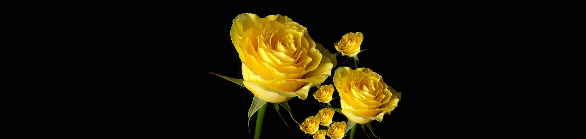 丹青畫風的個人主頁（封面預覽） - 主頁封面設置 - 站酷設計師丹青畫風原創(chuàng)素材 - 站酷ZCOOL