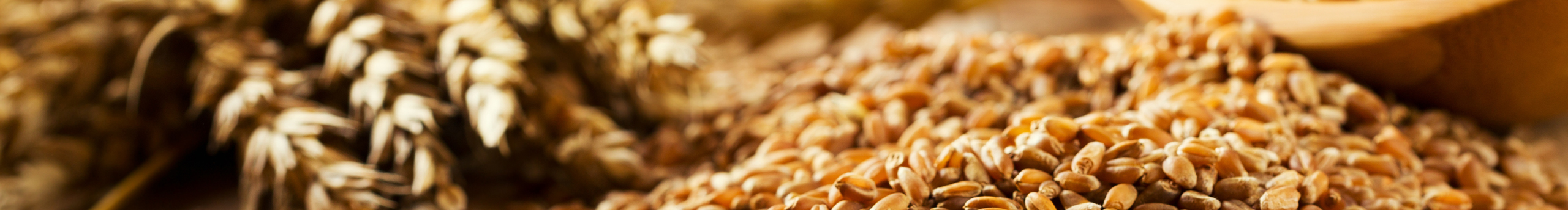 Wheat設(shè)計(jì)的個(gè)人主頁（封面預(yù)覽） - 主頁封面設(shè)置 - 站酷設(shè)計(jì)師Wheat設(shè)計(jì)原創(chuàng)素材 - 站酷ZCOOL