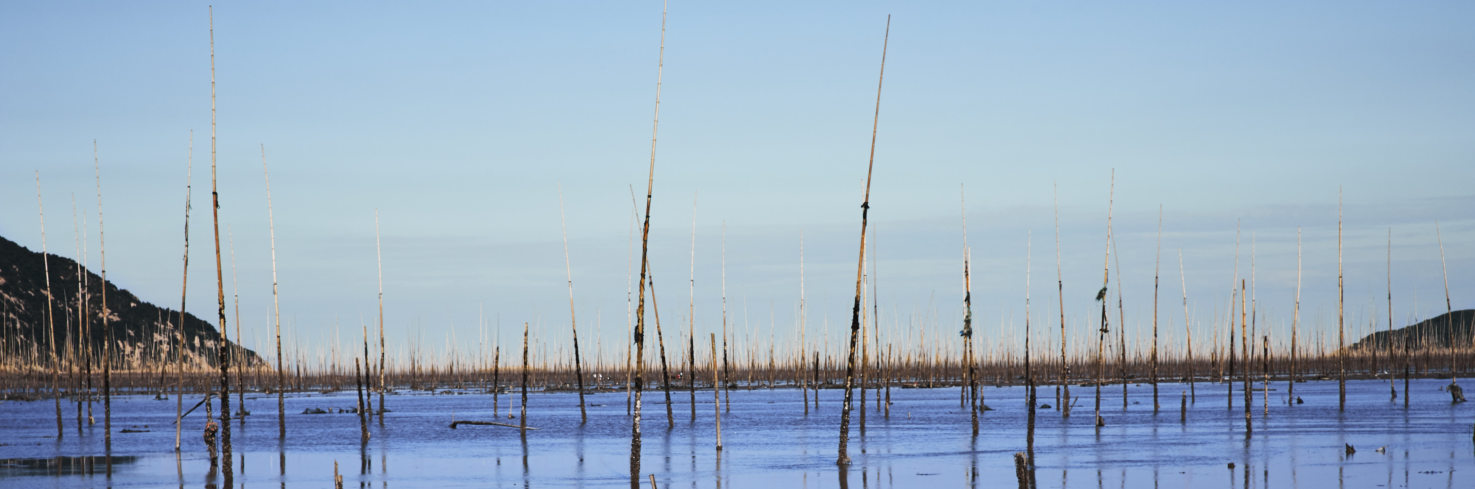 若玺摄影工作室的个人主页（封面预览） - 主页封面设置 - 站酷设计师若玺摄影工作室原创素材 - 站酷ZCOOL