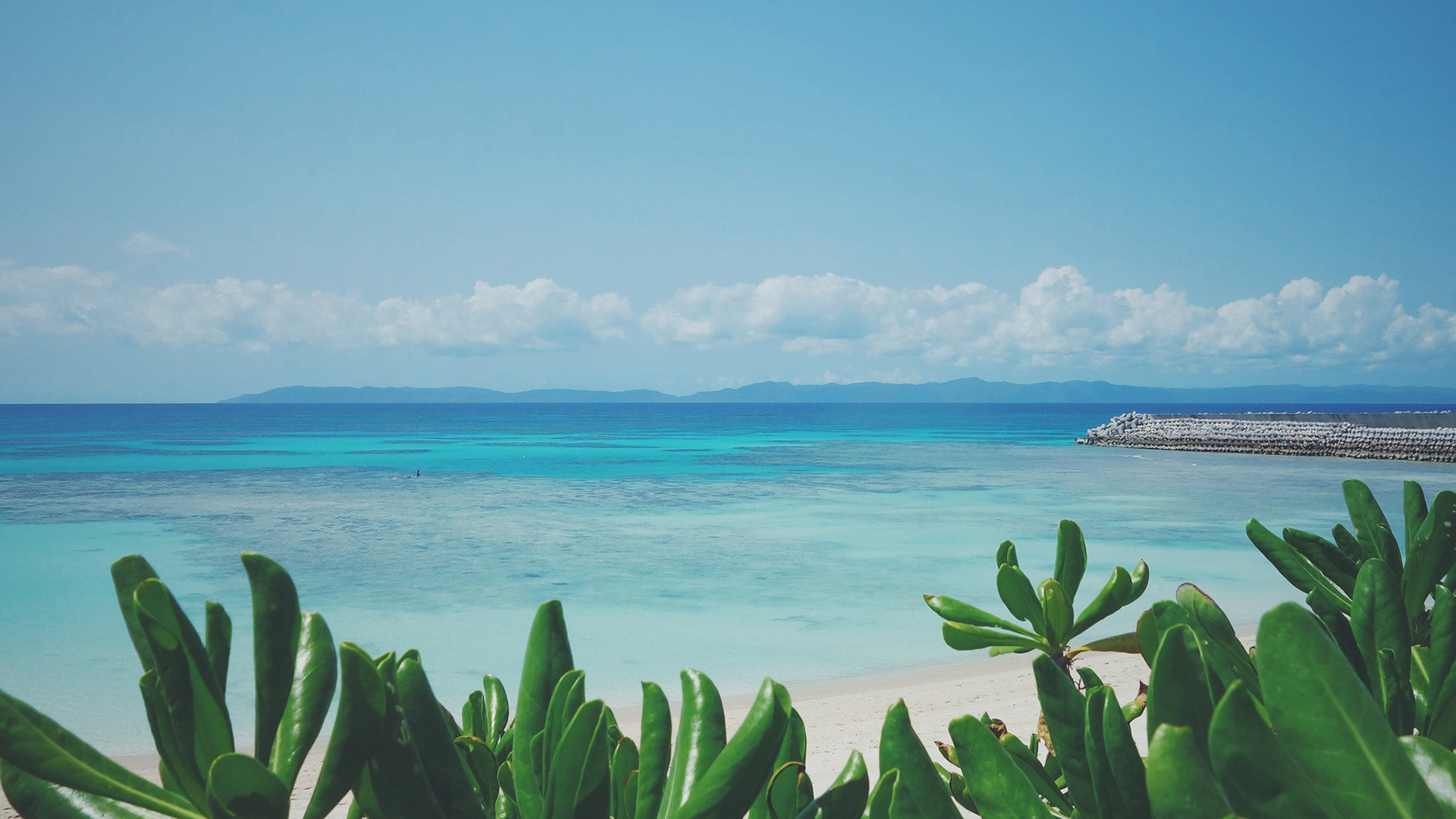 Lovely集子的個人主頁（封面預(yù)覽） - 主頁封面設(shè)置 - 站酷設(shè)計師Lovely集子原創(chuàng)素材 - 站酷ZCOOL