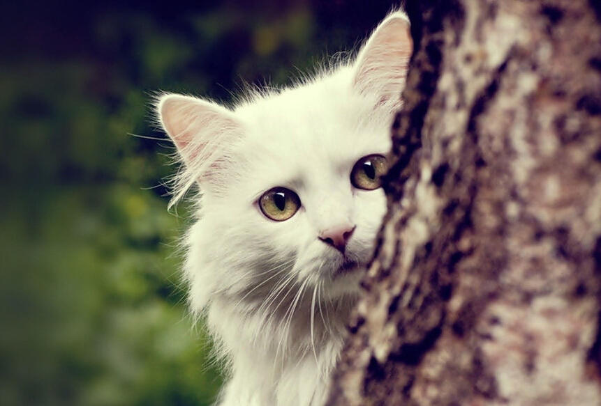 永恒的盼望的个人主页（封面预览） - 主页封面设置 - 站酷设计师永恒的盼望原创素材 - 站酷ZCOOL