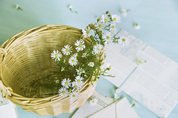 潔兒的個(gè)人主頁(yè)（封面預(yù)覽） - 主頁(yè)封面設(shè)置 - 站酷設(shè)計(jì)師潔兒原創(chuàng)素材 - 站酷ZCOOL