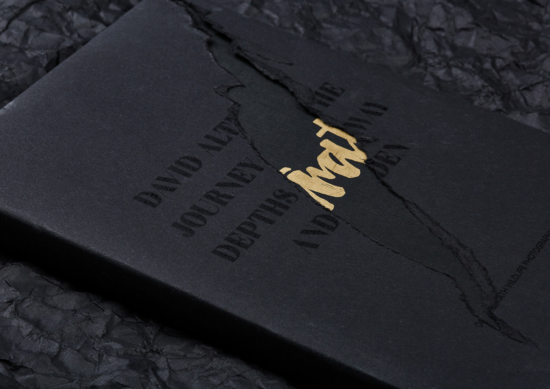 大望路十一的个人主页（封面预览） - 主页封面设置 - 站酷设计师大望路十一原创素材 - 站酷ZCOOL