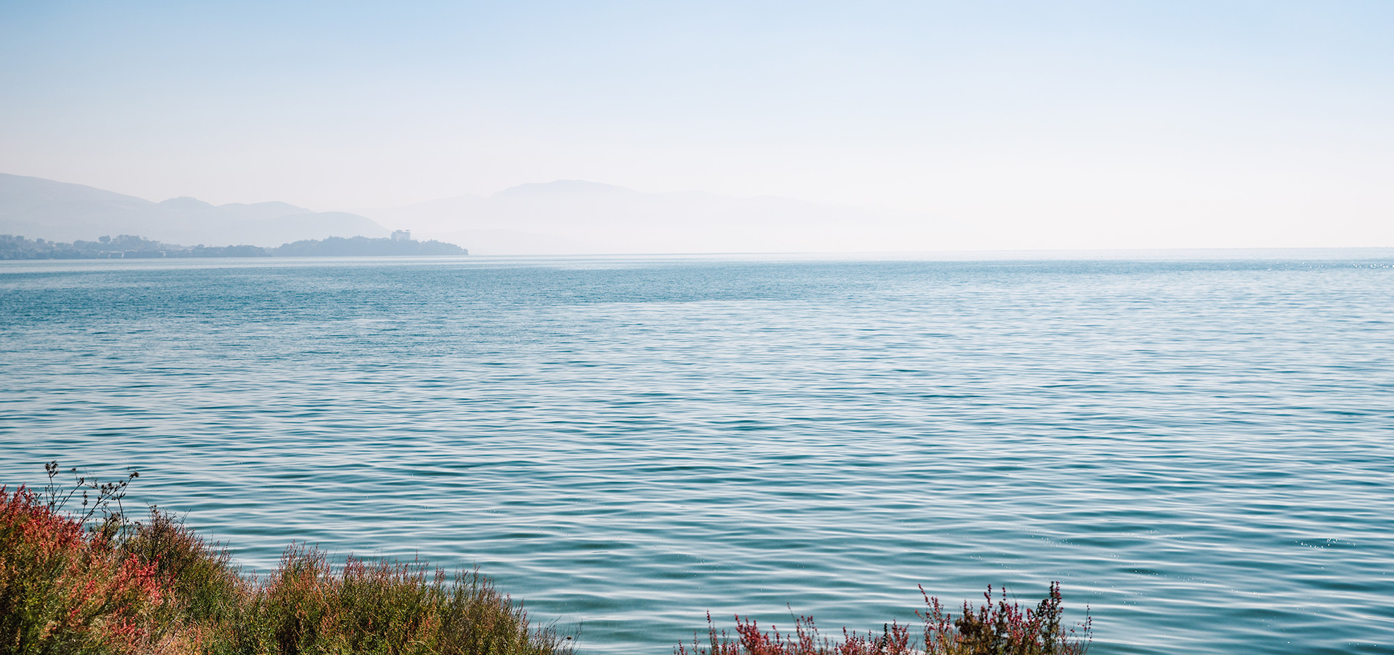 阿鵬今天拍照了沒的個人主頁（封面預覽） - 主頁封面設置 - 站酷設計師阿鵬今天拍照了沒原創(chuàng)素材 - 站酷ZCOOL