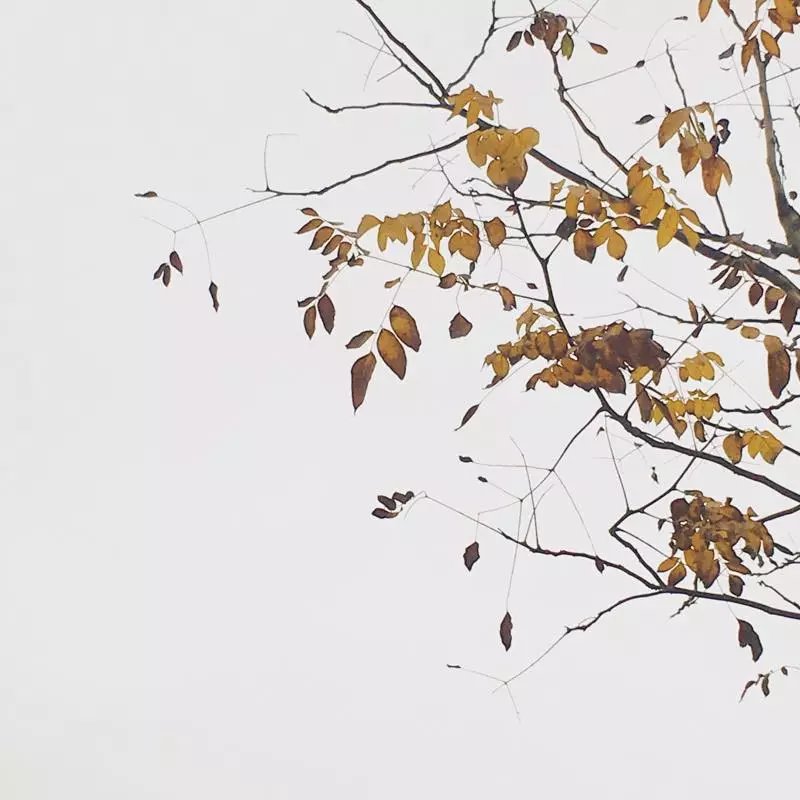 xiaoxiami2016的個(gè)人主頁（封面預(yù)覽） - 主頁封面設(shè)置 - 站酷設(shè)計(jì)師xiaoxiami2016原創(chuàng)素材 - 站酷ZCOOL