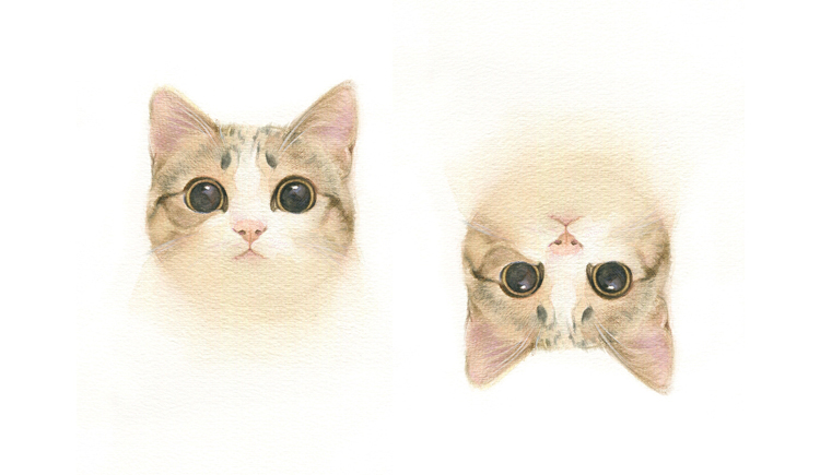 鳗鱼甜欣的个人主页（封面预览） - 主页封面设置 - 站酷设计师鳗鱼甜欣原创素材 - 站酷ZCOOL