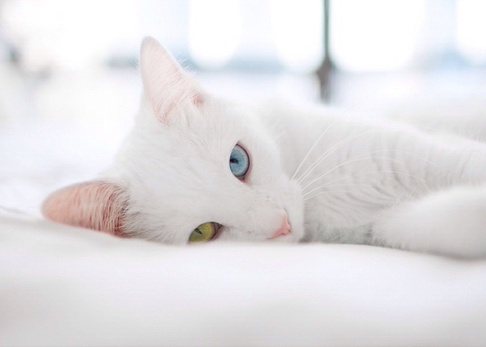 Sun王寧的個(gè)人主頁(yè)（封面預(yù)覽） - 主頁(yè)封面設(shè)置 - 站酷設(shè)計(jì)師Sun王寧原創(chuàng)素材 - 站酷ZCOOL