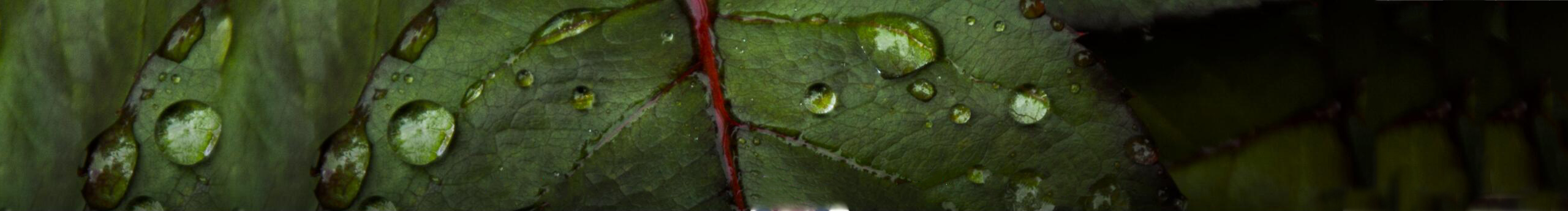 木易杏子的个人主页（封面预览） - 主页封面设置 - 站酷设计师木易杏子原创素材 - 站酷ZCOOL